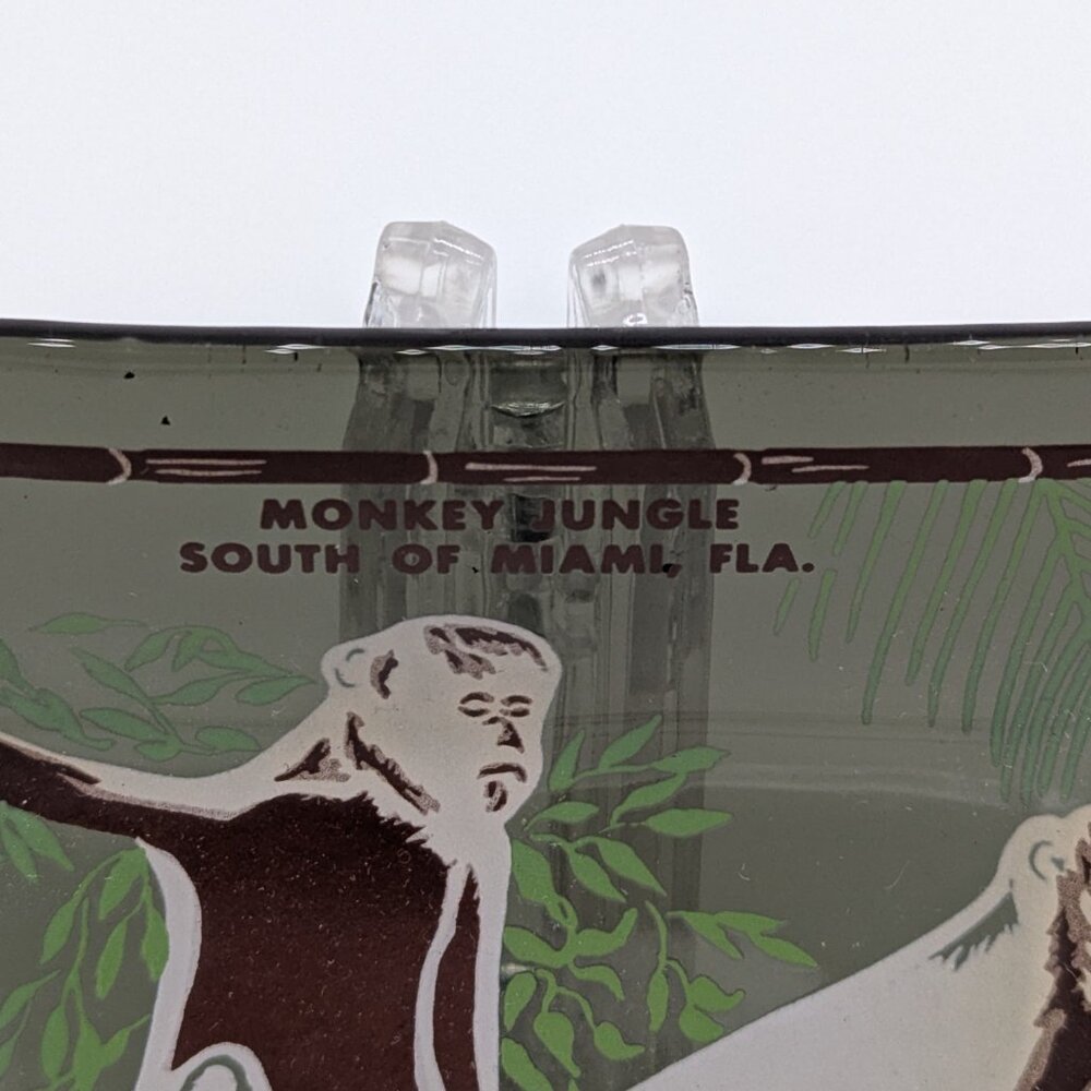Vintage Monkey Jungle Glass Souvenir Dish Miami Florida Green Brown Chimp Zoo - Picture 3 of 6